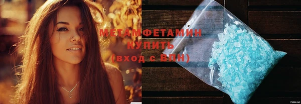 гидра Верхний Тагил