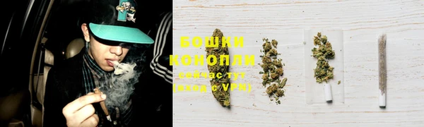 гидра Верхний Тагил