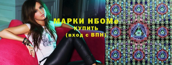 гидра Верхний Тагил