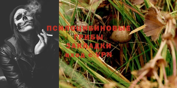 гидра Верхний Тагил