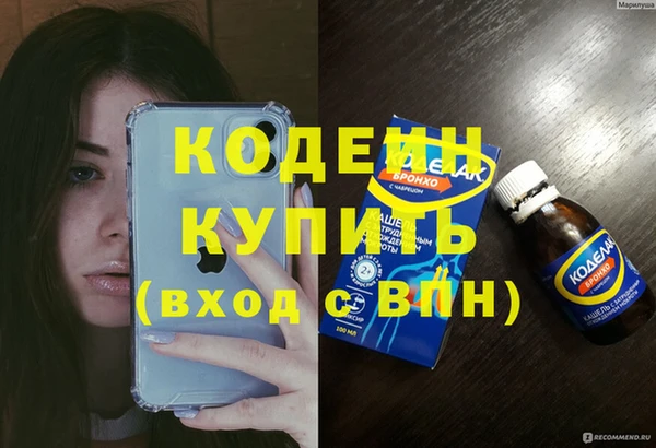 гидра Верхний Тагил
