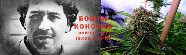 гидра Верхний Тагил