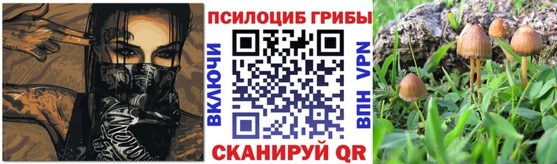 Галлюциногенные грибы GOLDEN TEACHER  Сочи 